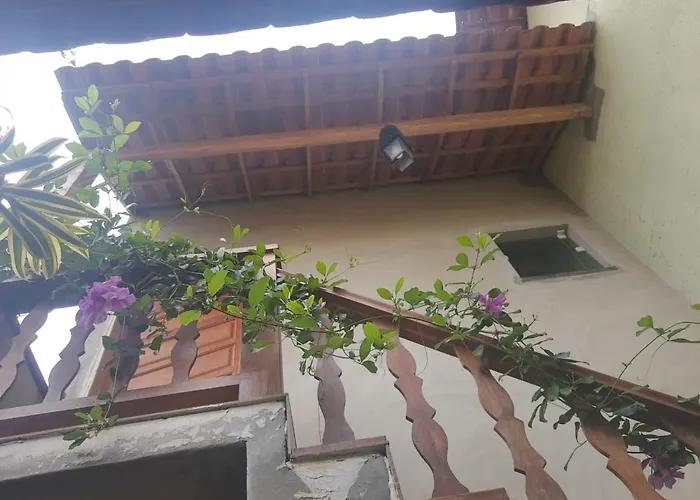 Suite Verde